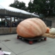 1045.4 lbs Pumpkin