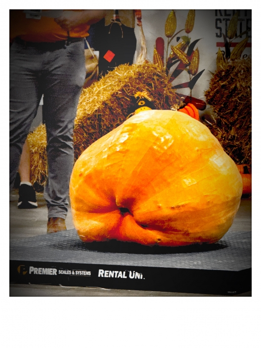 KY State Fair Great Watermelon and Pumpkin Weigh-In