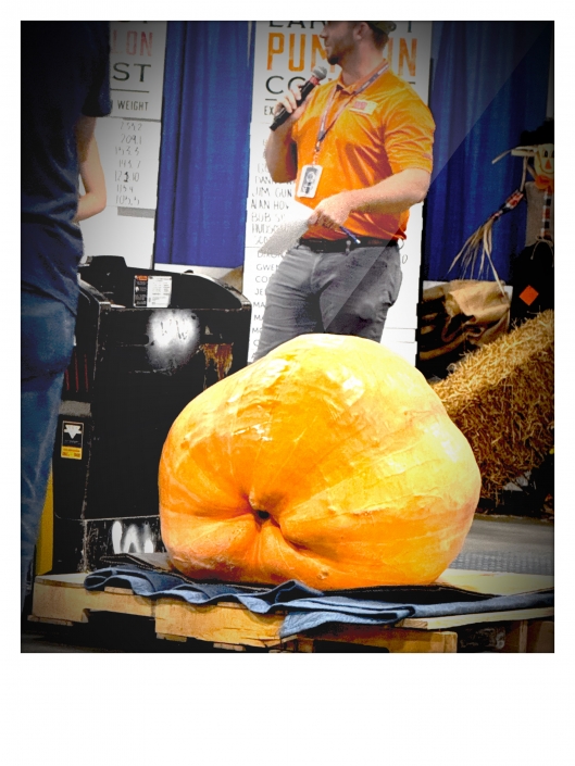 KY State Fair Great Watermelon and Pumpkin Weigh-In