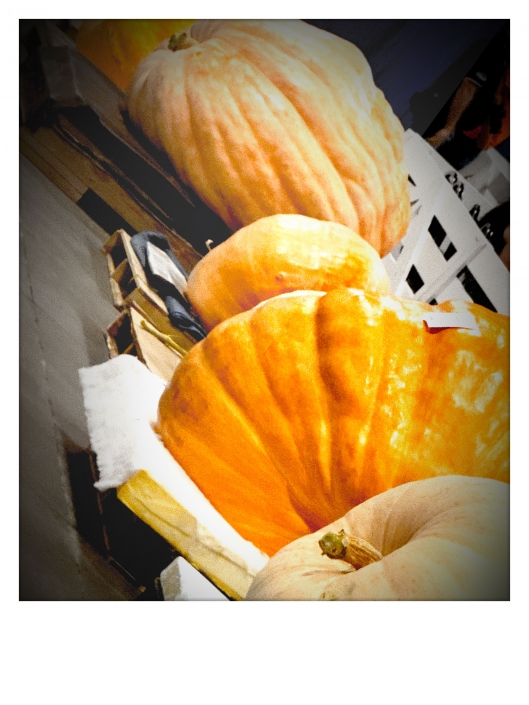 KY State Fair Great Watermelon and Pumpkin Weigh-In