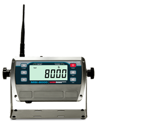 Real-time crane scale monitoring